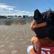 ヒメ日記 2026/08/20 12:04 投稿 朝長 さくら ハレ系 福岡DEまっとる。＆ひよこ治療院