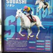 ヒメ日記 2026/09/16 12:52 投稿 朝長 さくら ハレ系 福岡DEまっとる。＆ひよこ治療院