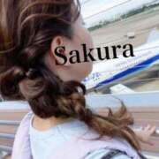ヒメ日記 2026/10/19 10:17 投稿 朝長 さくら ハレ系 福岡DEまっとる。＆ひよこ治療院