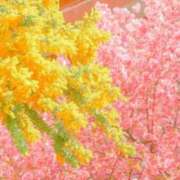 ヒメ日記 2025/03/14 22:05 投稿 蒼井 品川やすらぎ