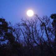 ヒメ日記 2025/10/06 22:39 投稿 蒼井 品川やすらぎ