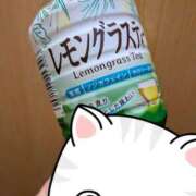 ヒメ日記 2026/08/11 15:58 投稿 蒼井 品川やすらぎ