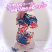 ヒメ日記 2025/03/12 09:16 投稿 しゃろん 立川人妻研究会