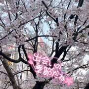 ヒメ日記 2025/03/24 10:38 投稿 しゃろん 立川人妻研究会