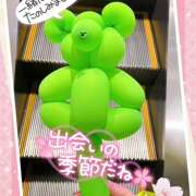 ヒメ日記 2025/03/31 11:46 投稿 しゃろん 立川人妻研究会