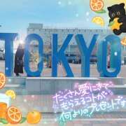 ヒメ日記 2025/04/07 12:13 投稿 しゃろん 立川人妻研究会
