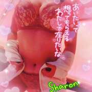 ヒメ日記 2025/09/14 10:35 投稿 しゃろん 立川人妻研究会