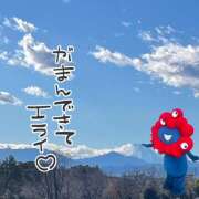 しゃろん でっかくなっちゃった！ 立川人妻研究会