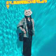 ヒメ日記 2026/03/29 18:15 投稿 しゃろん 立川人妻研究会