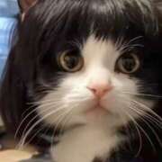 ヒメ日記 2025/01/27 22:15 投稿 瑞穂(みずほ) 八王子人妻城