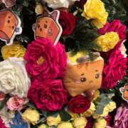 ヒメ日記 2025/05/15 01:50 投稿 ちとせ もみもみワンダーランド