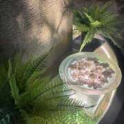 ヒメ日記 2025/06/04 13:07 投稿 ちとせ もみもみワンダーランド