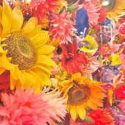 ヒメ日記 2025/08/10 09:59 投稿 ちとせ もみもみワンダーランド