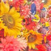 ヒメ日記 2025/08/10 10:03 投稿 ちとせ もみもみワンダーランド