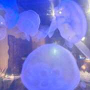 ヒメ日記 2025/08/23 11:23 投稿 ちとせ もみもみワンダーランド