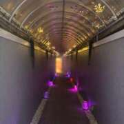 ヒメ日記 2025/09/29 04:45 投稿 ちとせ もみもみワンダーランド