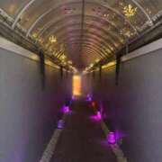 ヒメ日記 2025/09/29 05:03 投稿 ちとせ もみもみワンダーランド