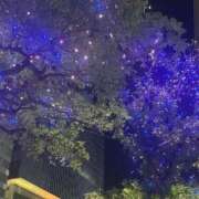 ヒメ日記 2025/12/21 09:01 投稿 ちとせ もみもみワンダーランド