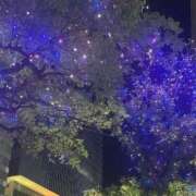 ヒメ日記 2025/12/21 09:13 投稿 ちとせ もみもみワンダーランド