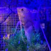 ヒメ日記 2026/02/05 02:41 投稿 ちとせ もみもみワンダーランド