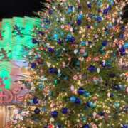 ヒメ日記 2024/12/24 22:51 投稿 ヒカル ドMな奥さん 日本橋店