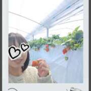 ヒメ日記 2025/03/14 15:46 投稿 ヒカル ドMな奥さん 日本橋店