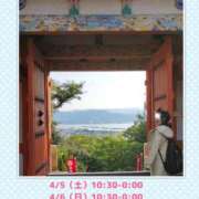 ヒメ日記 2025/03/28 16:25 投稿 ヒカル ドMな奥さん 日本橋店