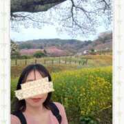 ヒメ日記 2025/03/30 14:51 投稿 ヒカル ドMな奥さん 日本橋店