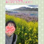 ヒメ日記 2025/04/06 10:26 投稿 ヒカル ドMな奥さん 日本橋店