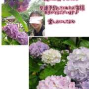 ヒメ日記 2025/07/04 14:09 投稿 ヒカル ドMな奥さん 日本橋店