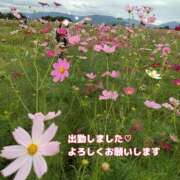 ヒメ日記 2025/10/20 19:01 投稿 ヒカル ドMな奥さん 日本橋店