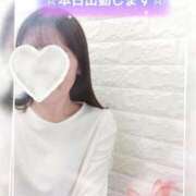 ヒメ日記 2025/11/29 10:19 投稿 ヒカル ドMな奥さん 日本橋店