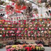 ヒメ日記 2026/01/09 12:35 投稿 ヒカル ドMな奥さん 日本橋店