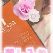 ヒメ日記 2025/03/22 16:49 投稿 ヒラリ ドＭなバニーちゃん小倉店