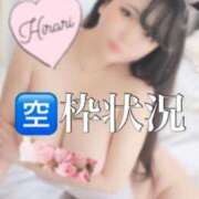 ヒメ日記 2025/06/10 20:58 投稿 ヒラリ ドＭなバニーちゃん小倉店