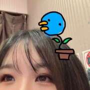 ヒメ日記 2025/04/10 08:58 投稿 彩芽 恋愛マット同好会