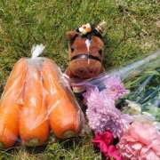 ヒメ日記 2025/05/23 11:18 投稿 ☆HINANO☆ 恋愛マット同好会