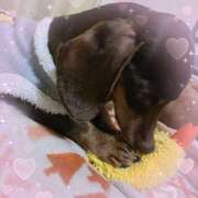 ヒメ日記 2026/01/29 16:38 投稿 ☆HINANO☆ 恋愛マット同好会