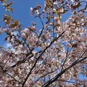 ヒメ日記 2026/04/24 14:48 投稿 ☆HINANO☆ 恋愛マット同好会