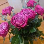 ヒメ日記 2025/01/21 17:09 投稿 こいこさん いけない奥さん 梅田店