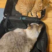 ヒメ日記 2025/07/19 09:31 投稿 こいこさん いけない奥さん 梅田店