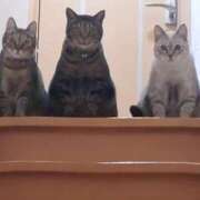 ヒメ日記 2025/08/22 10:35 投稿 こいこさん いけない奥さん 梅田店