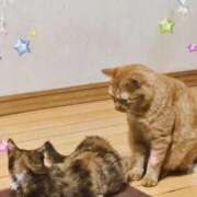 ヒメ日記 2025/11/12 22:08 投稿 こいこさん いけない奥さん 梅田店