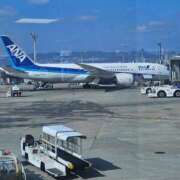 ヒメ日記 2026/02/01 12:18 投稿 こいこさん いけない奥さん 梅田店