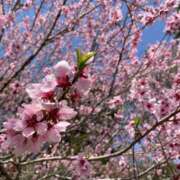 ちえ 興奮材料 MASK（マスク）