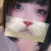 ヒメ日記 2025/08/13 15:02 投稿 かのん 秘書室（すすきの）