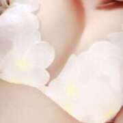 ヒメ日記 2025/07/08 01:28 投稿 漣（れん） 神戸DOUCE