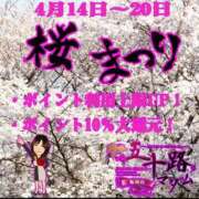 ヒメ日記 2025/04/16 14:42 投稿 松宮桜子 五十路マダム 新潟店(カサブランカグループ)