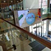 ヒメ日記 2025/04/17 17:50 投稿 松宮桜子 五十路マダム 新潟店(カサブランカグループ)