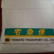 ヒメ日記 2025/04/24 08:22 投稿 松宮桜子 五十路マダム 新潟店(カサブランカグループ)